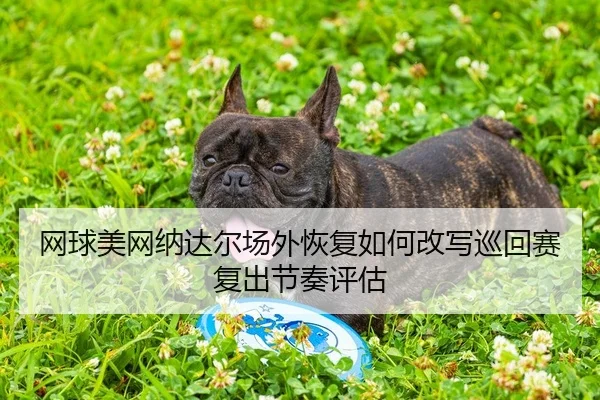 网球美网纳达尔场外恢复如何改写巡回赛复出节奏评估